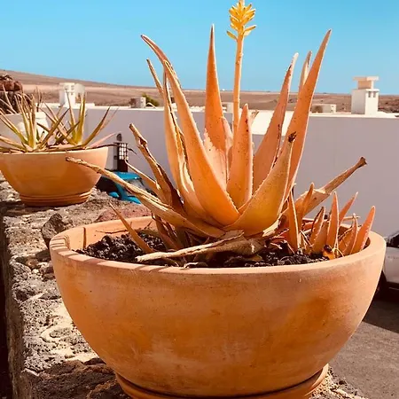 Lovely D'ogna, Las Coloradas, Playa Papagayo فيلة بلايا بلانكا
